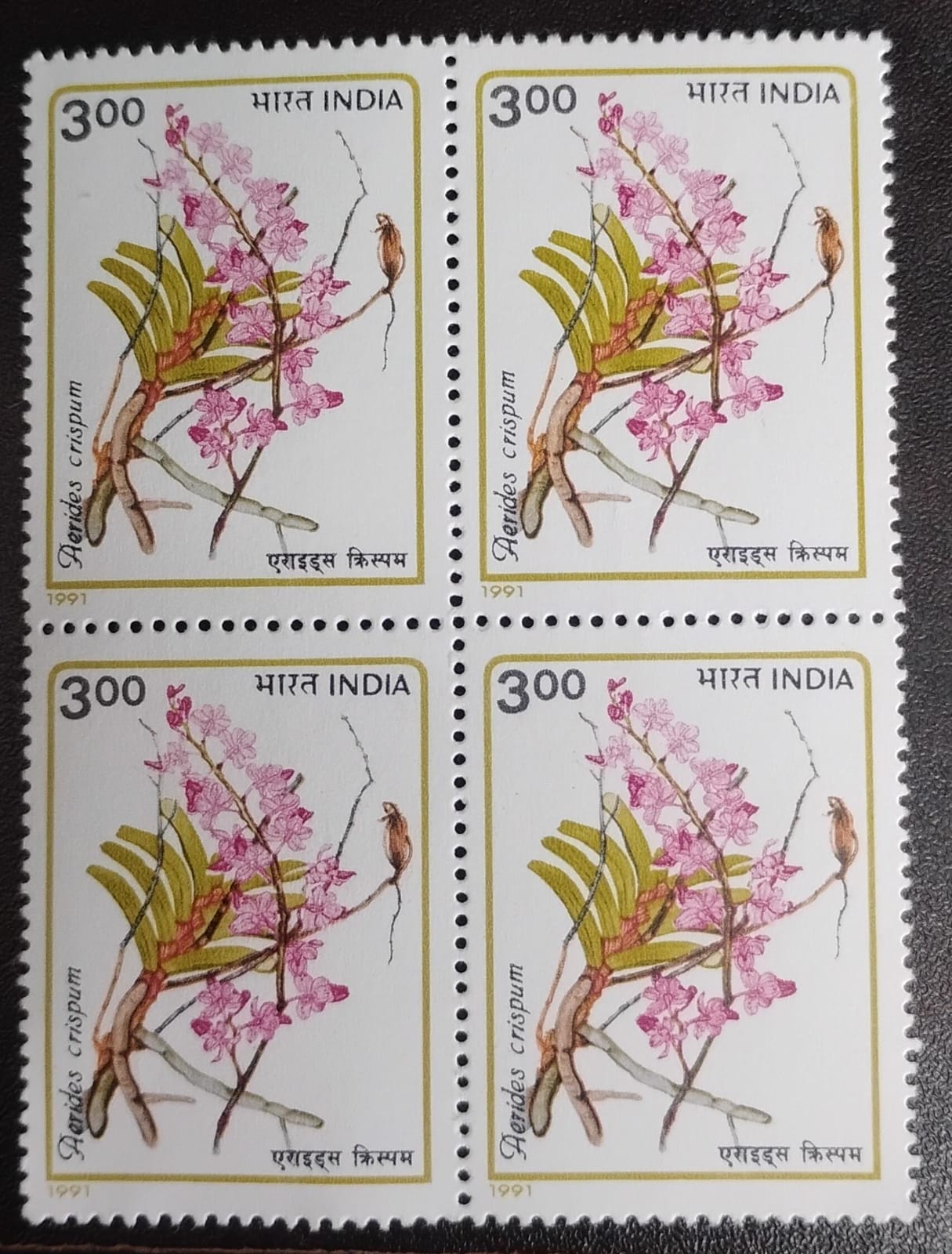 India 1991 Orchids of India Block of 4 mint