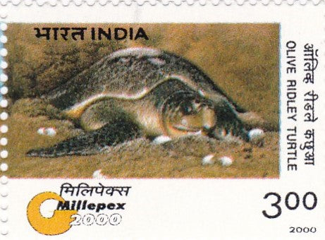 India mint-29 Jan.'00 "Millepex 2000" National Philatelic Exhibition,Bhubaneswar. Setenant horizontal Pair (Copy)