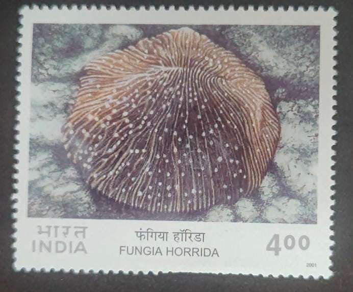 India Mint-2001 Corals of India - Fungia Horrida