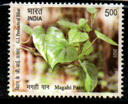 India 2025 Magahi Paan