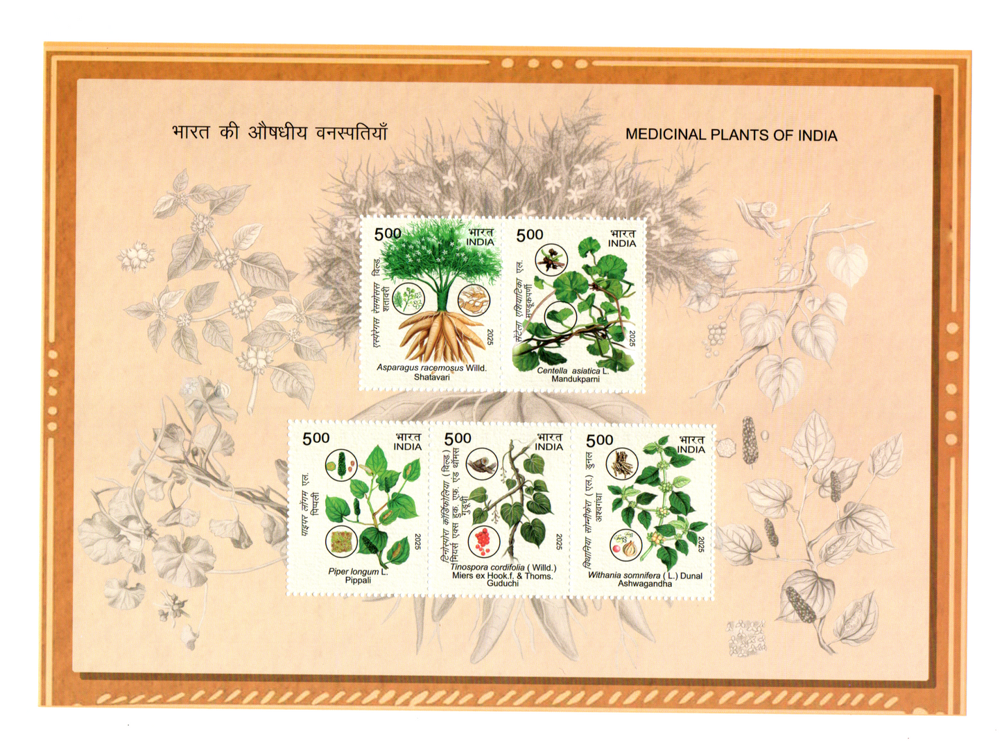 India 2025 Souvinier Sheet Medicinal Plants of India