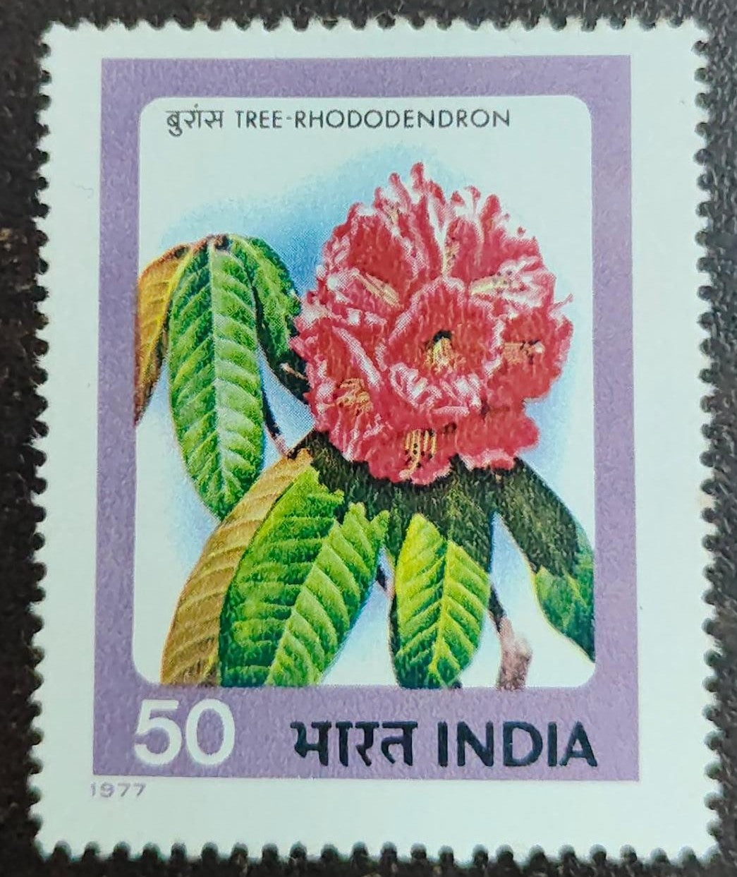 India-Mint 1977 Indian Flower-Tree Rhododendron