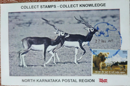 Ppc from KU Campus, featuring sloth bear, with bear stamp on a picture postcard issued by KA circle.
