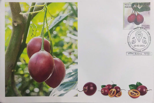 a unique set of 12 varieties pvt first day covers- with 12 different place cancelled GI (Geographical Indications) tags. GI tags are now given to various products, to enhance its value in international market.