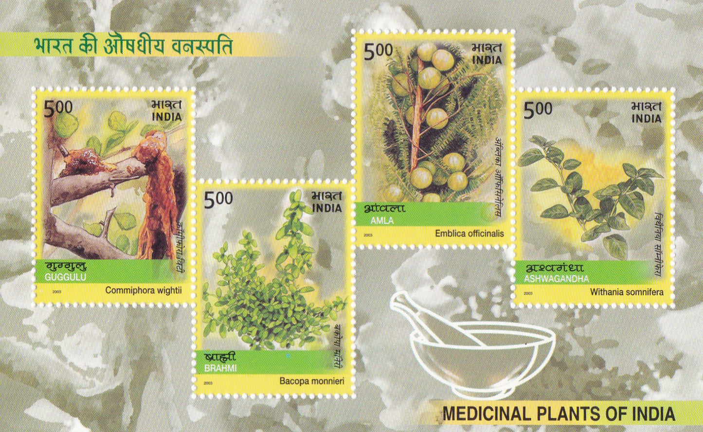 2003-Medicinal plants of India Ms