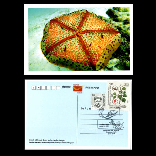 A beautiful set of 5 pic postcards on Marine Fauna of Lakshadweep islands, issued during Kerapex 2026 with exhibition logo special cancellation.