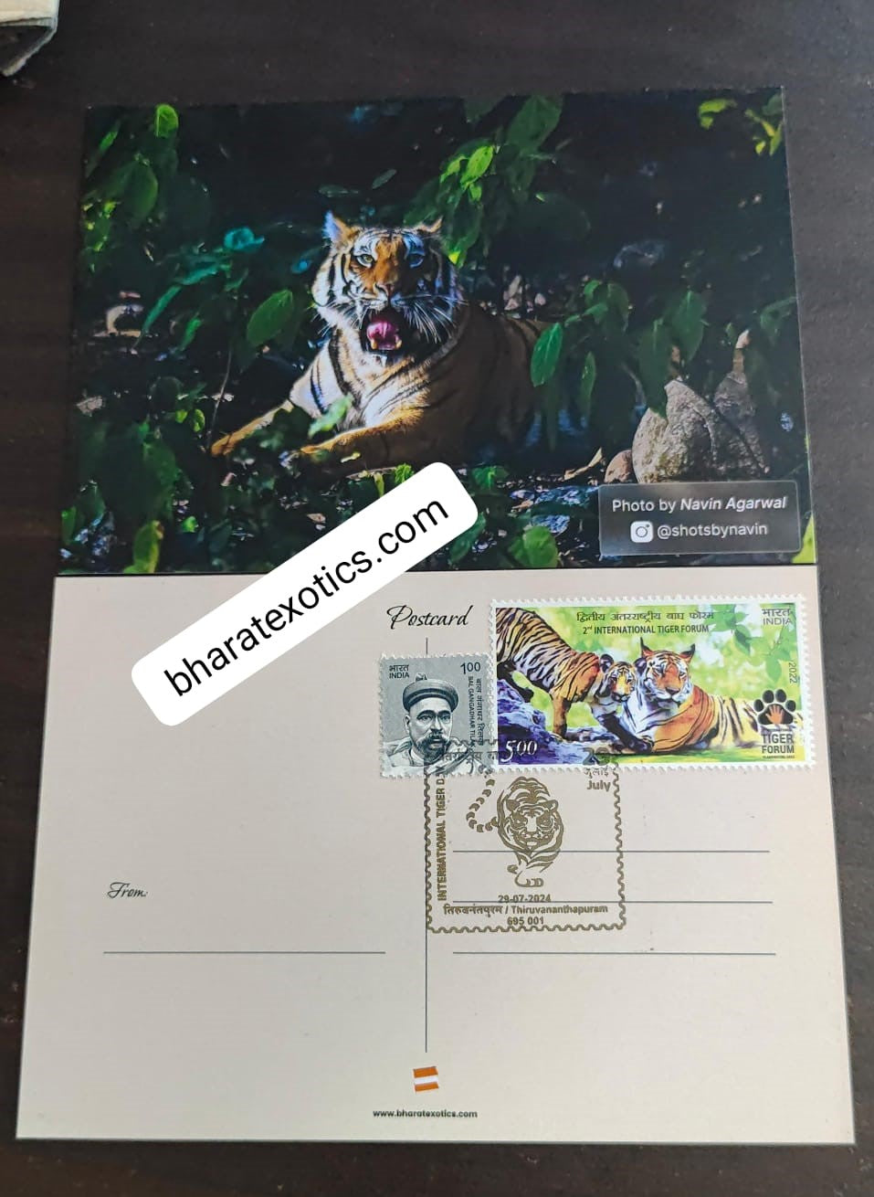 Tiger day 🐅 Special cancellation- 29.7.24. On picture postcard, cancelled from Thiruvanthapuram