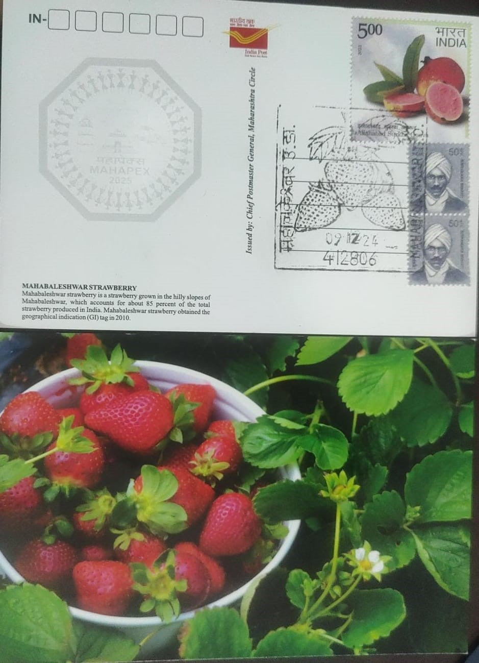 Strawberry Inaguration day PPC