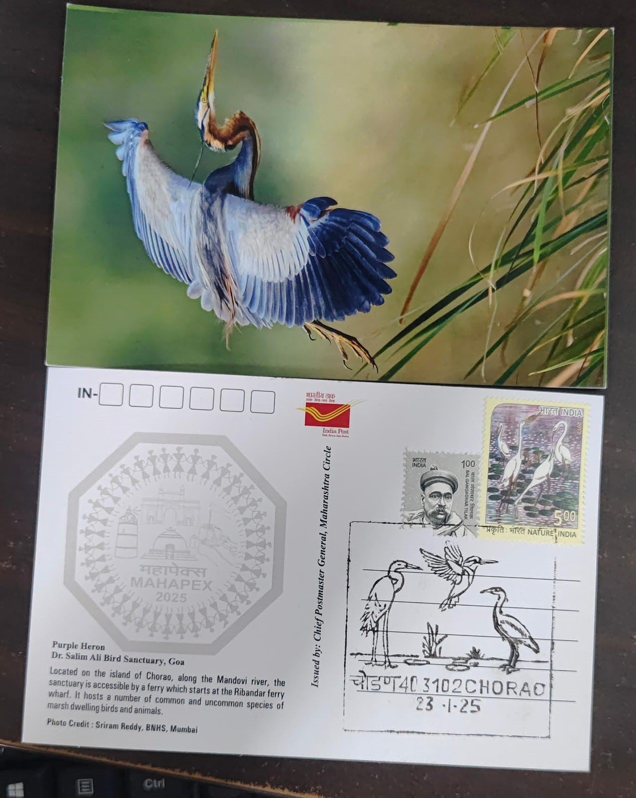 Chorao inaguration day PPC on postcard. Dr.Salim Ali Bird Sanctuary Dt 23.01.2025 on picture post card issued by Postal department limited numbers issued. (Copy) (Copy)
