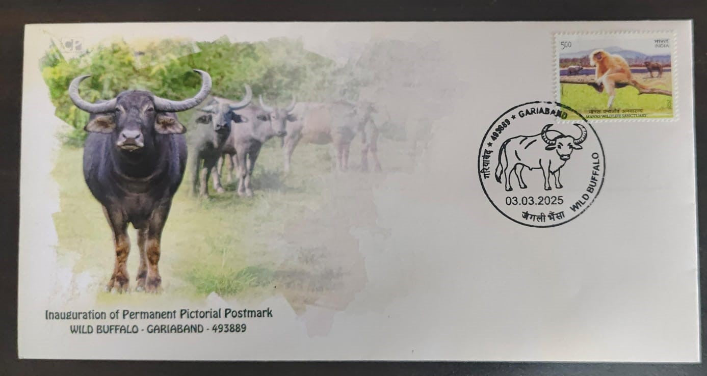 Inauguration day PPC on private cover on Wild Buffalo -CG