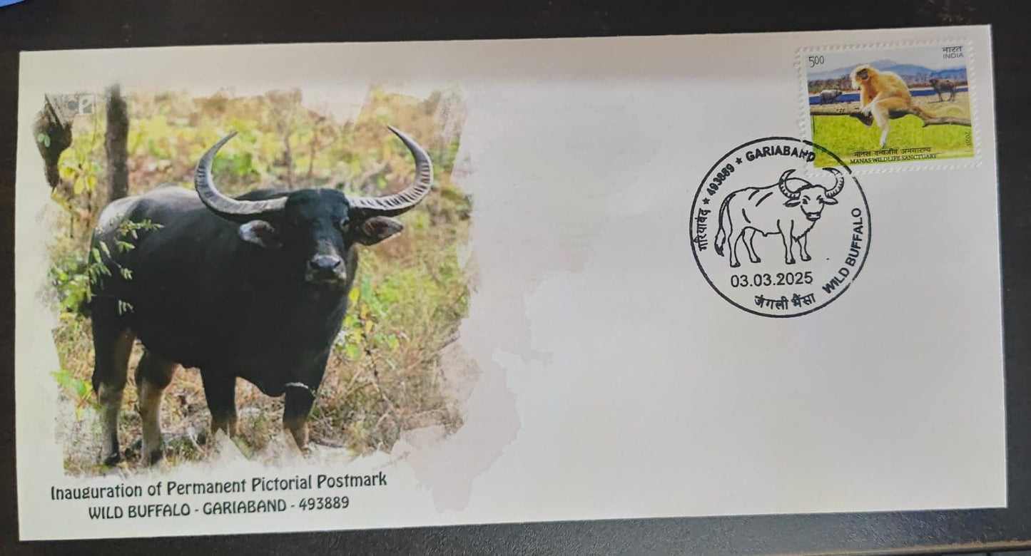 Inauguration day PPC on private cover on Wild Buffalo -CG