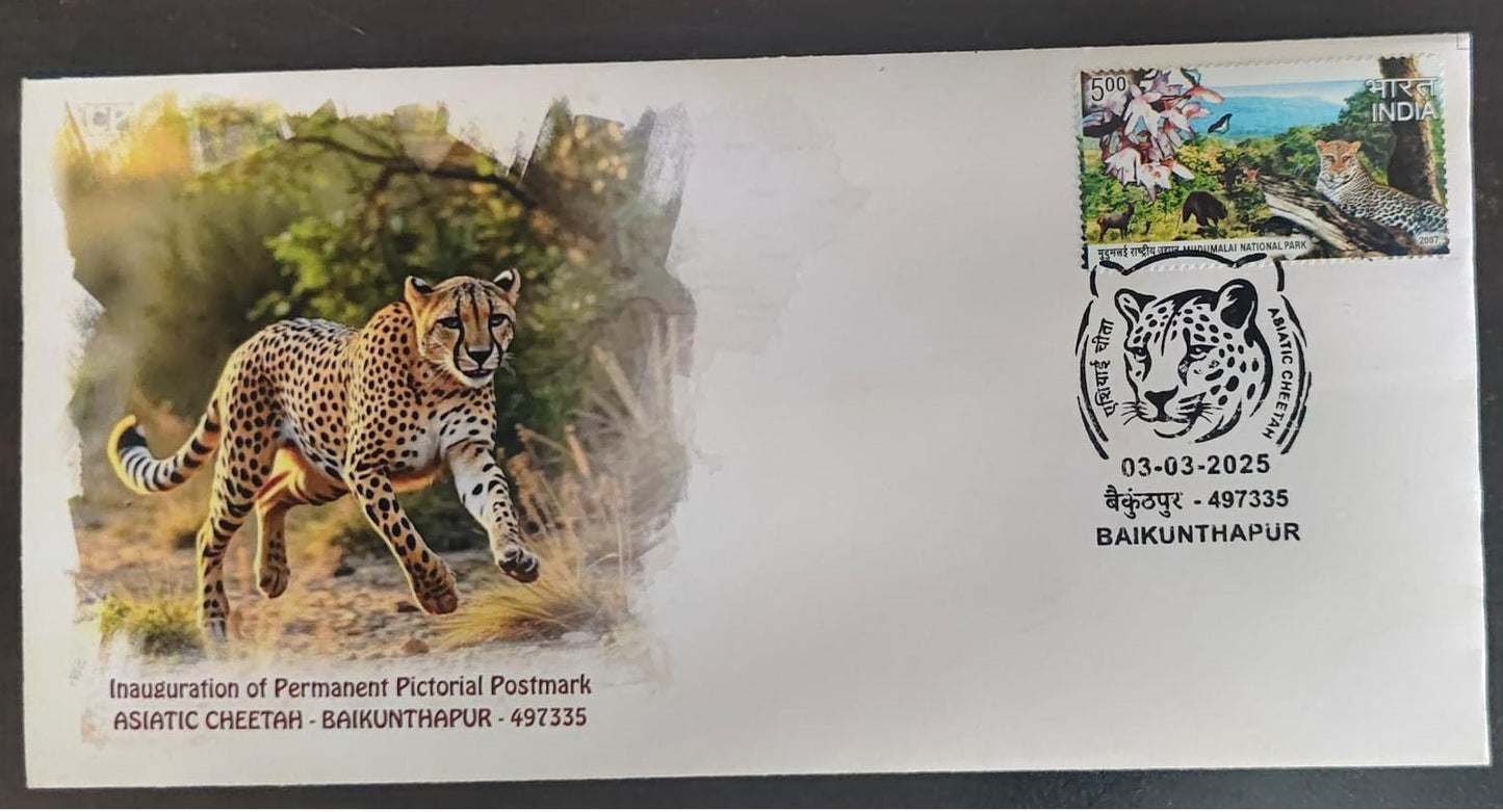 Asiatic Cheetah Reserve inauguration day PPC on private cover on cheetah