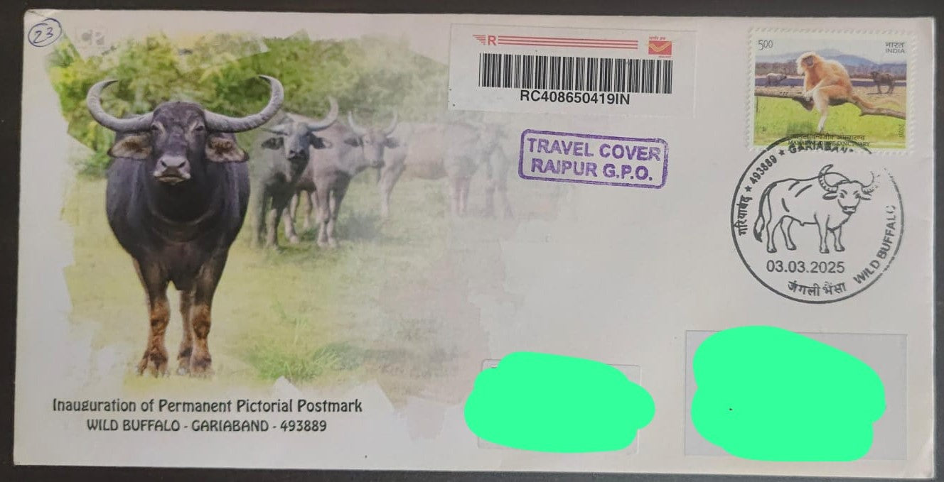Inauguration day PPC on private cover on Wild Buffalo - Travelled cover from CG
