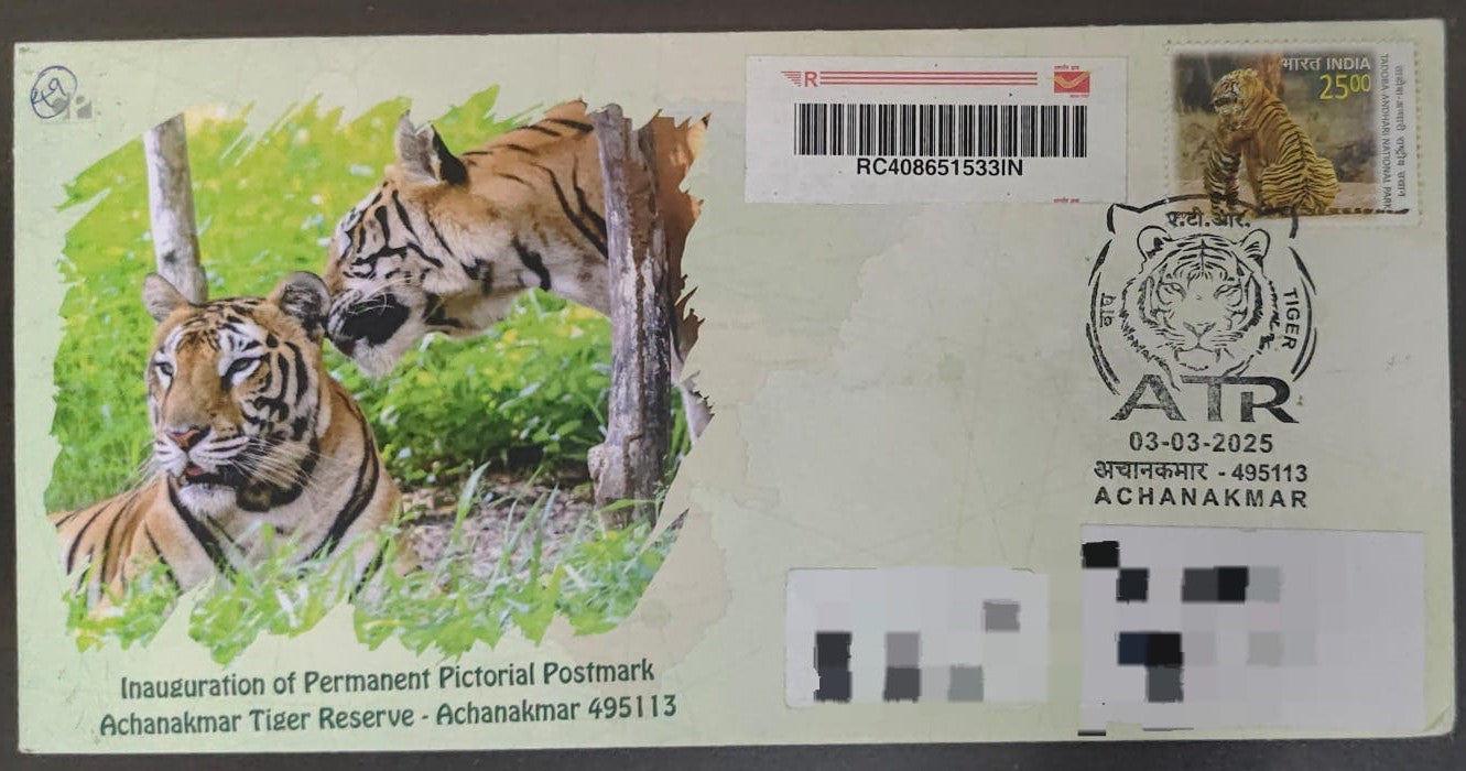 Achanakmar Tiger Reserve inauguration day PPC on private Travelled cover on Tiger