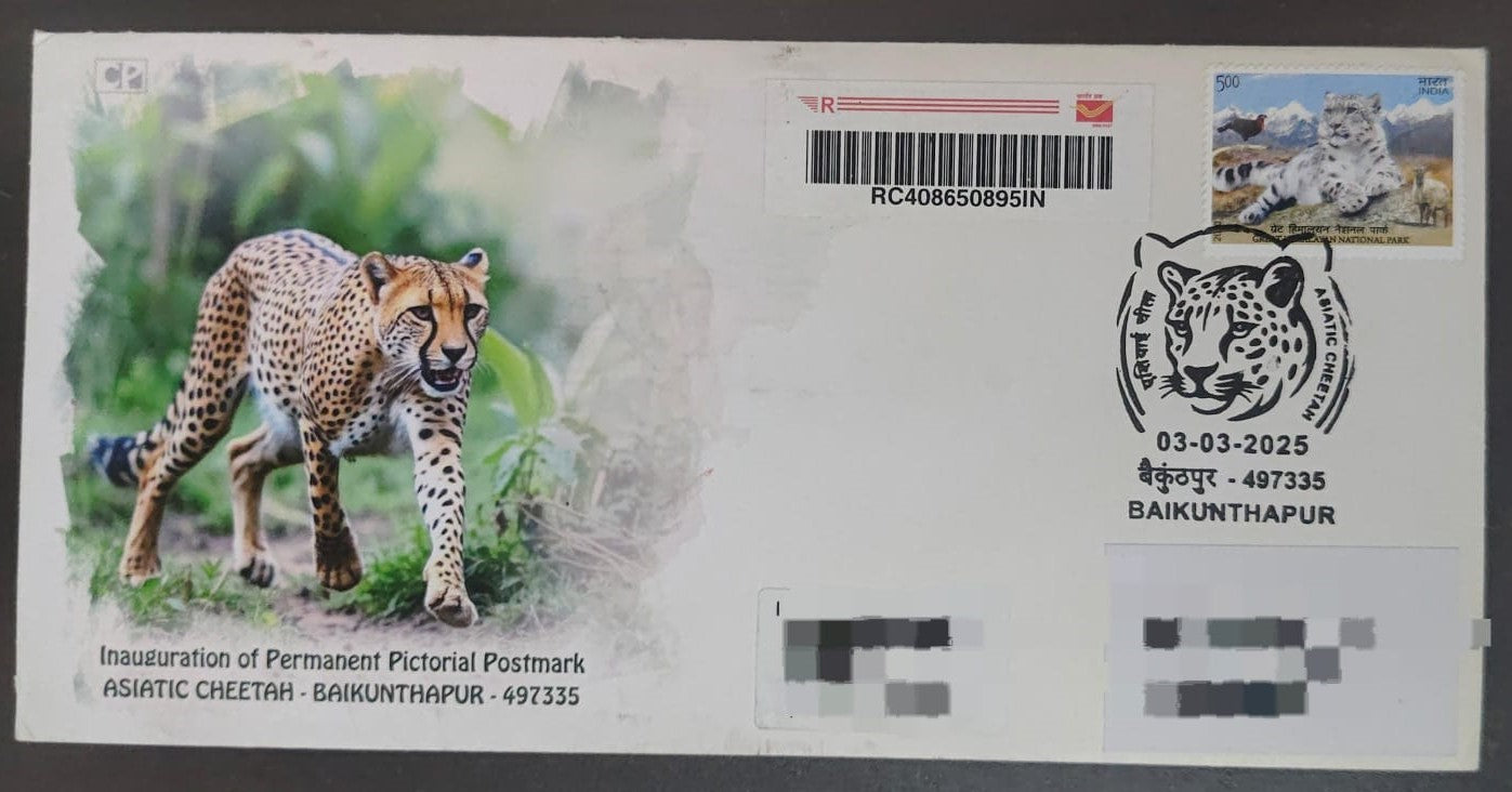 Asiatic Cheetah Reserve inauguration day PPC on private Travelled cover on cheetah