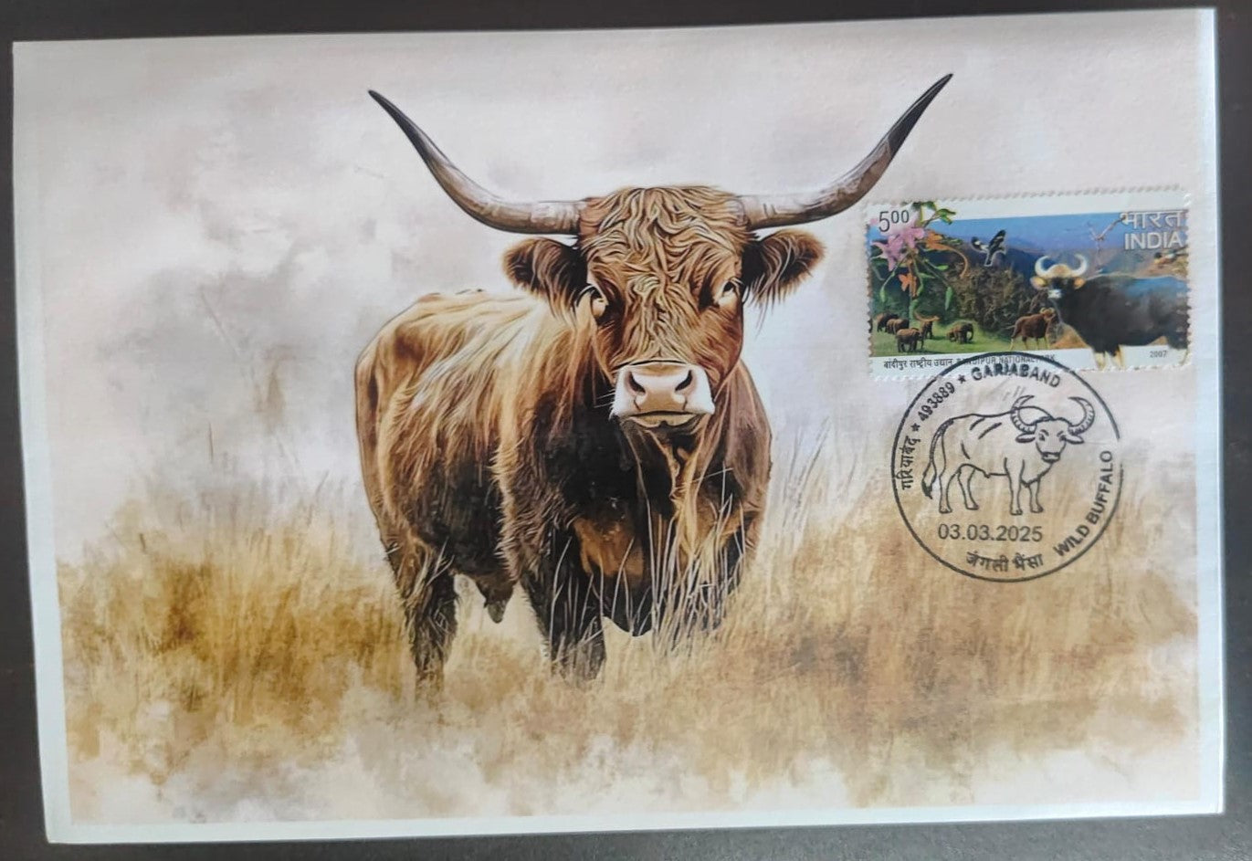 Inauguration day Permanent Pictorial cancellation wild Buffalo issued from Gariband (CG) on private cover