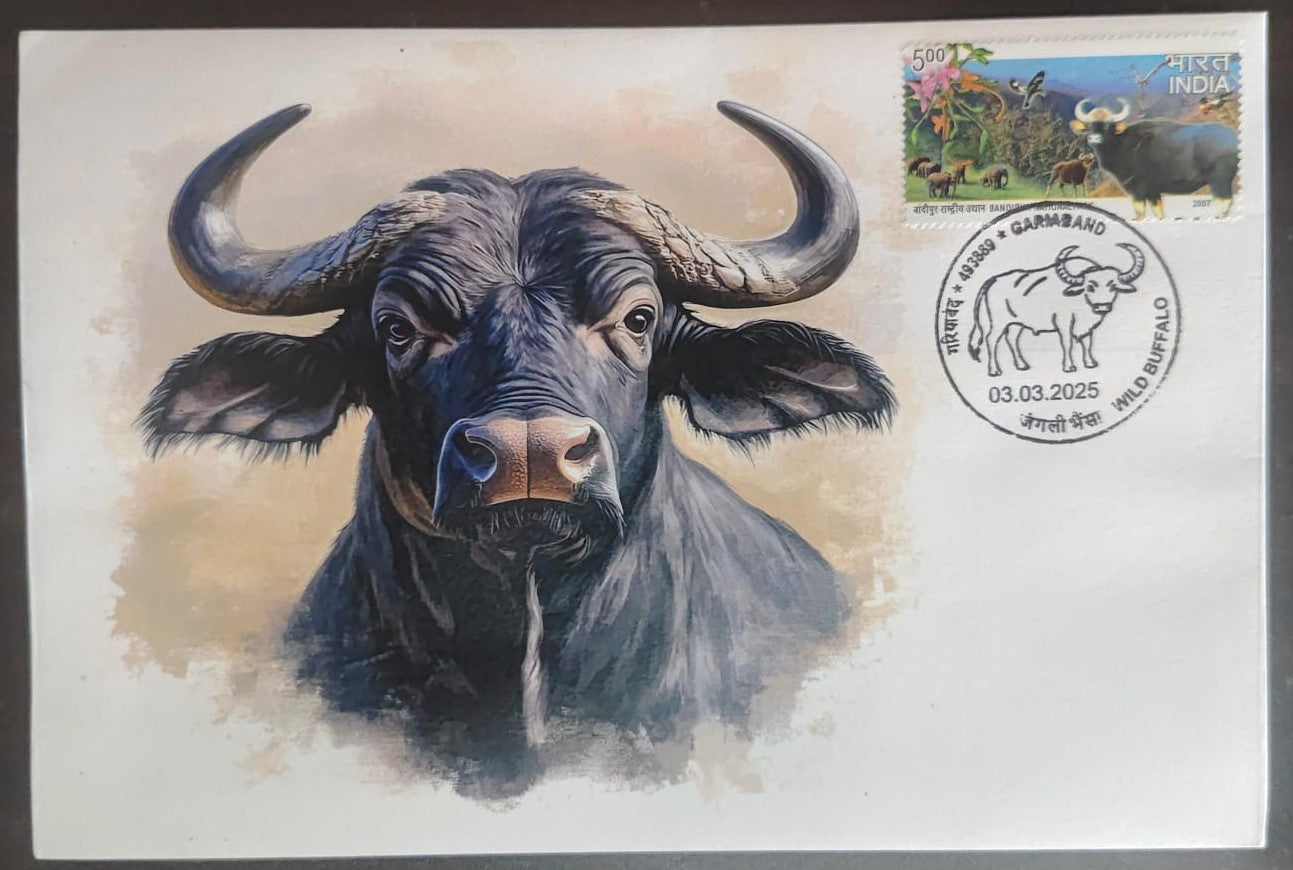 Inauguration day Permanent Pictorial cancellation wild Buffalo issued from Gariband (CG) on private cover