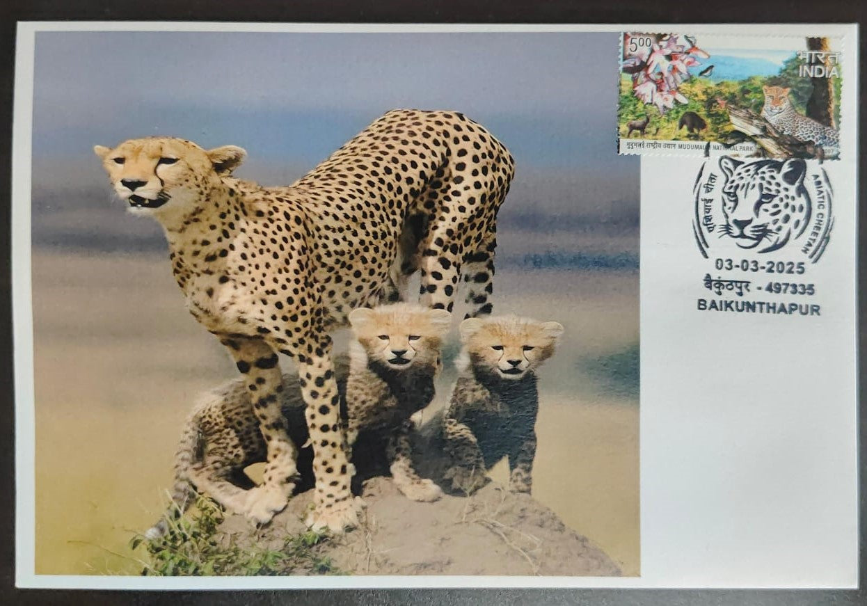 Inauguration day Permanent Pictorial cancellation Asiatic Cheetah issued from Baikunthapur (CG) on private cover