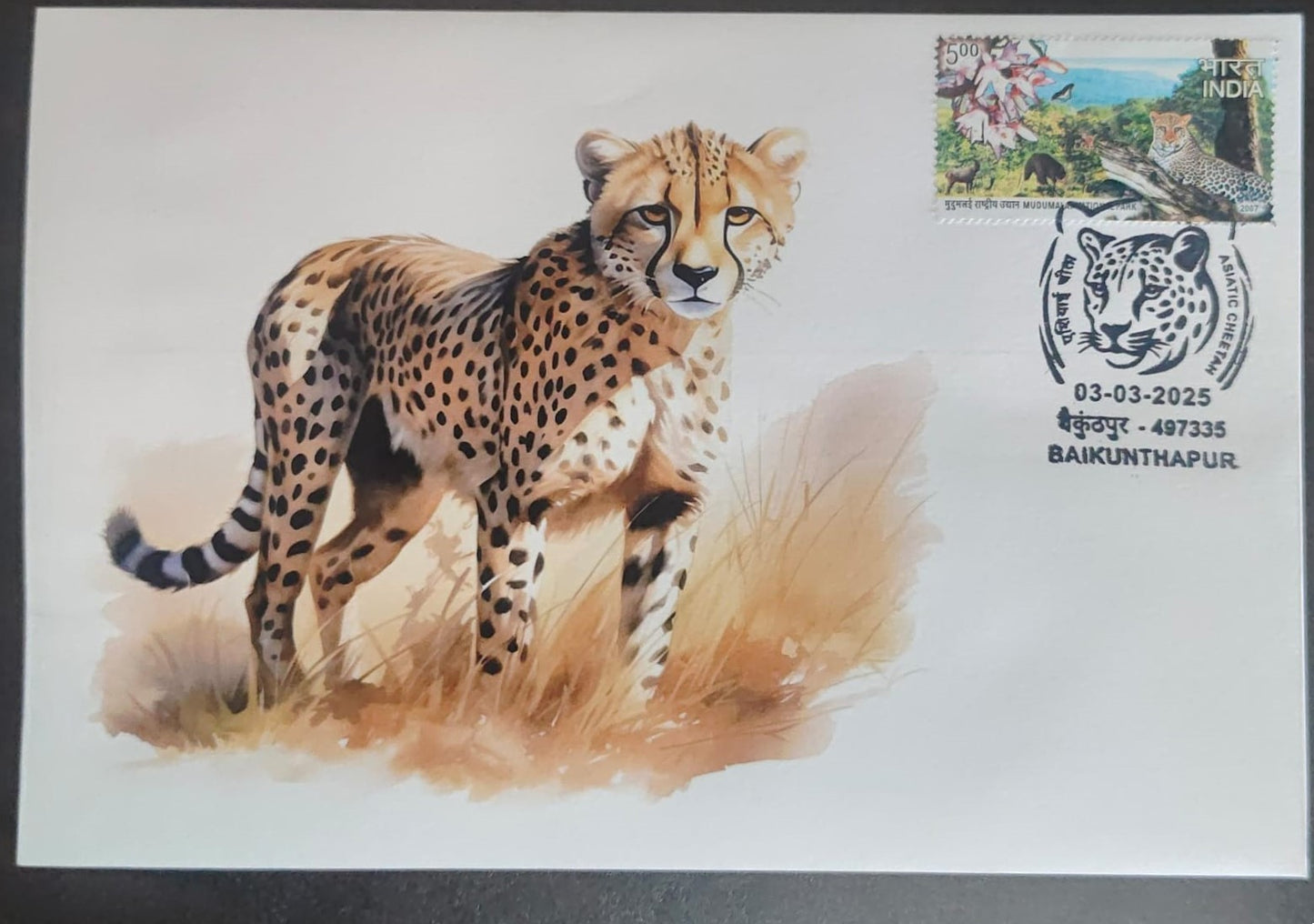 Inauguration day Permanent Pictorial cancellation Asiatic Cheetah issued from Baikunthapur (CG) on private cover