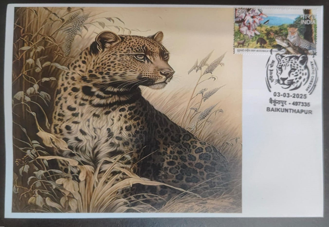 Inauguration day Permanent Pictorial cancellation Asiatic Cheetah issued from Baikunthapur (CG) on private cover