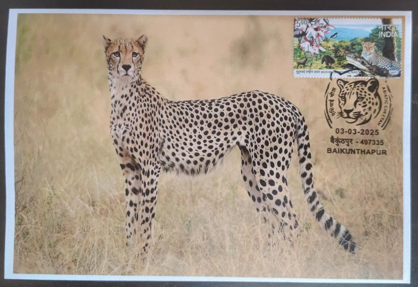Inauguration day Permanent Pictorial cancellation Asiatic Cheetah issued from Baikunthapur (CG) on private cover