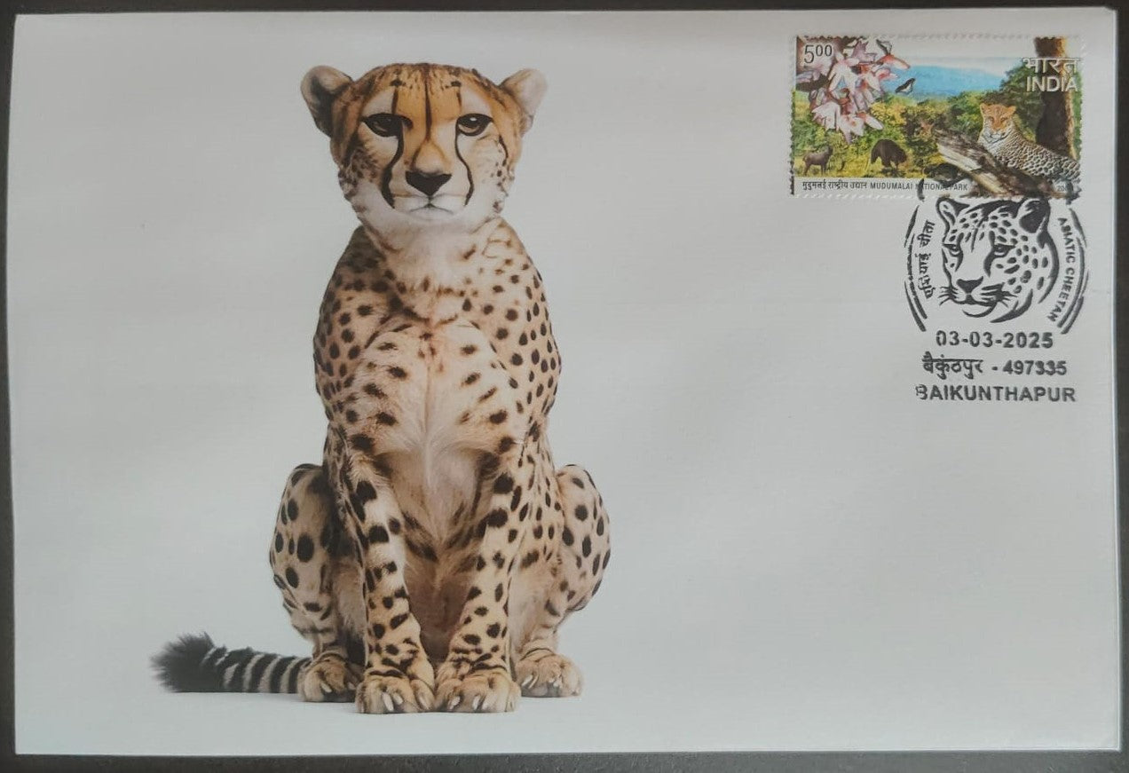 Inauguration day Permanent Pictorial cancellation Asiatic Cheetah issued from Baikunthapur (CG) on private cover