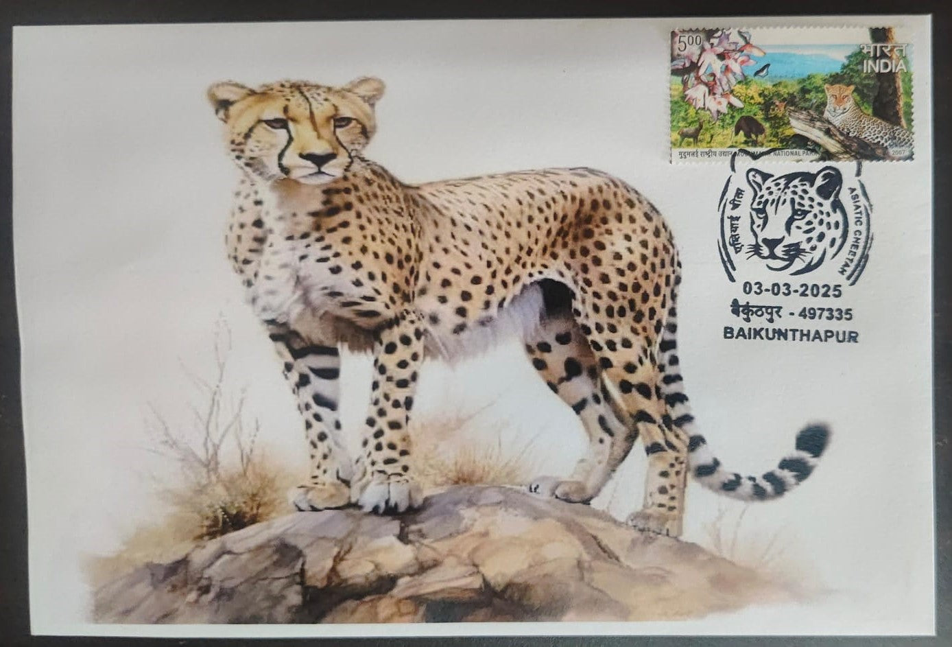 Inauguration day Permanent Pictorial cancellation Asiatic Cheetah issued from Baikunthapur (CG) on private cover