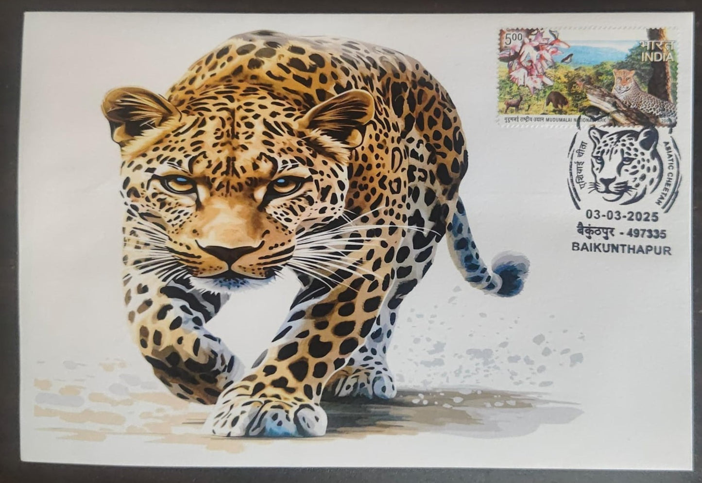 Inauguration day Permanent Pictorial cancellation Asiatic Cheetah issued from Baikunthapur (CG) on private cover