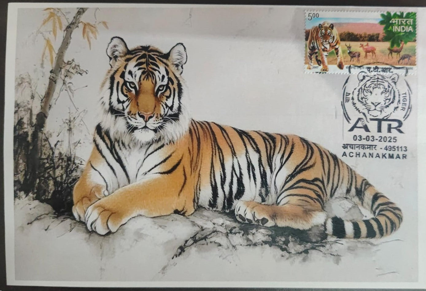 Inauguration day Permanent Pictorial cancellation Tiger issued from Achanakmar (CG) on private cover
