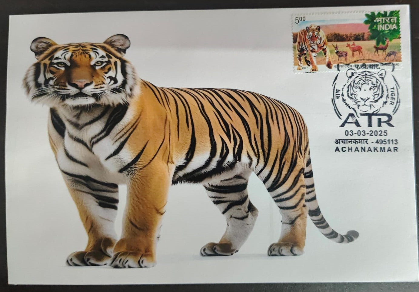 Inauguration day Permanent Pictorial cancellation Tiger issued from Achanakmar (CG) on private cover