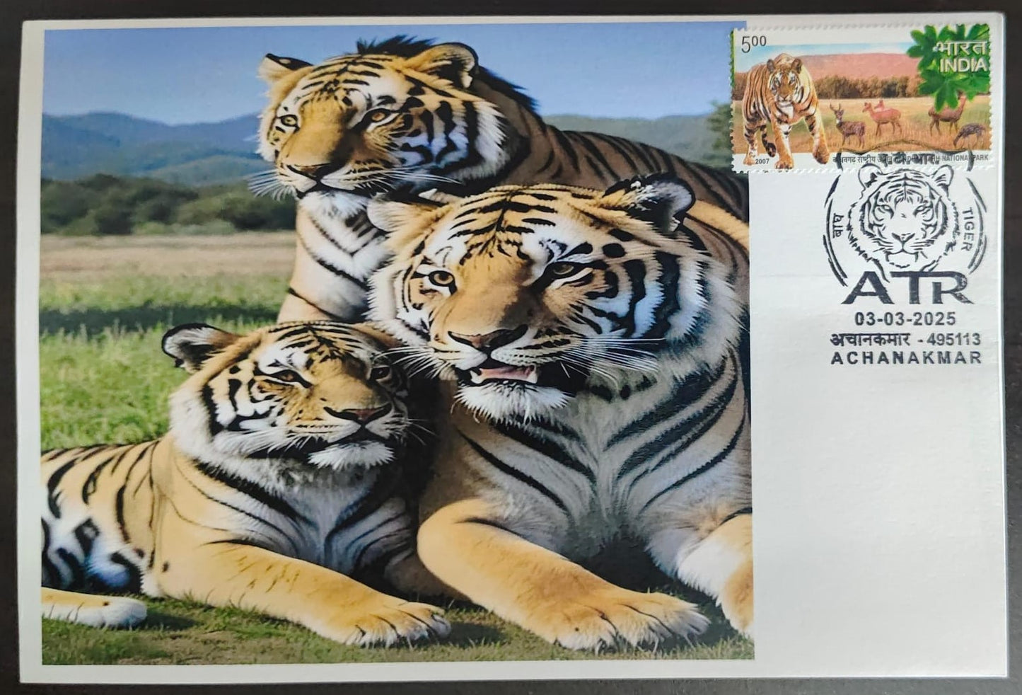 Inauguration day Permanent Pictorial cancellation Tiger issued from Achanakmar (CG) on private cover
