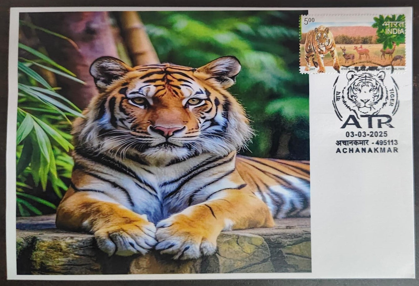 Inauguration day Permanent Pictorial cancellation Tiger issued from Achanakmar (CG) on private cover