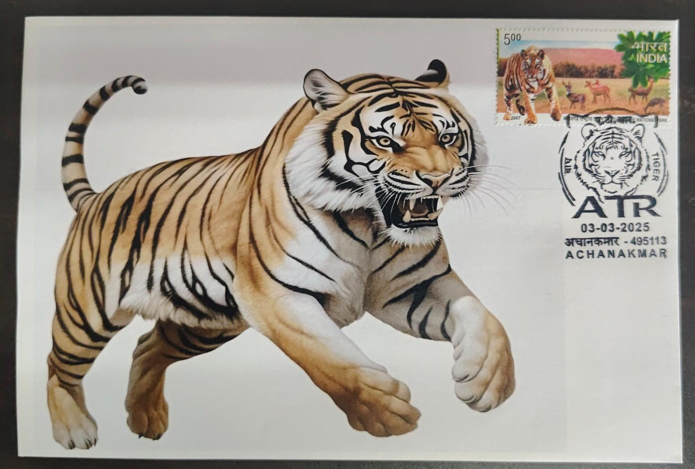 Inauguration day Permanent Pictorial cancellation Tiger issued from Achanakmar (CG) on private cover