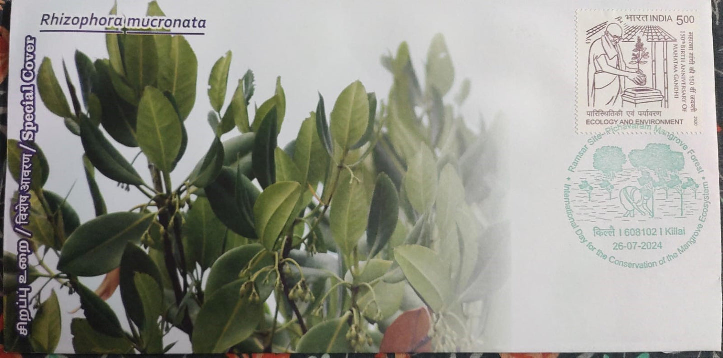 Special cover on conservation of Pichavaram Mangrove forest, issued by TN postal Circle. Cancelled with green ink.