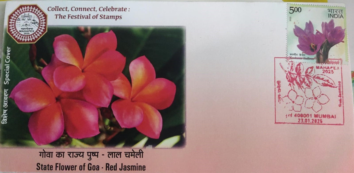 Special cover on state flower of Goa- Red Jasmine 🌺