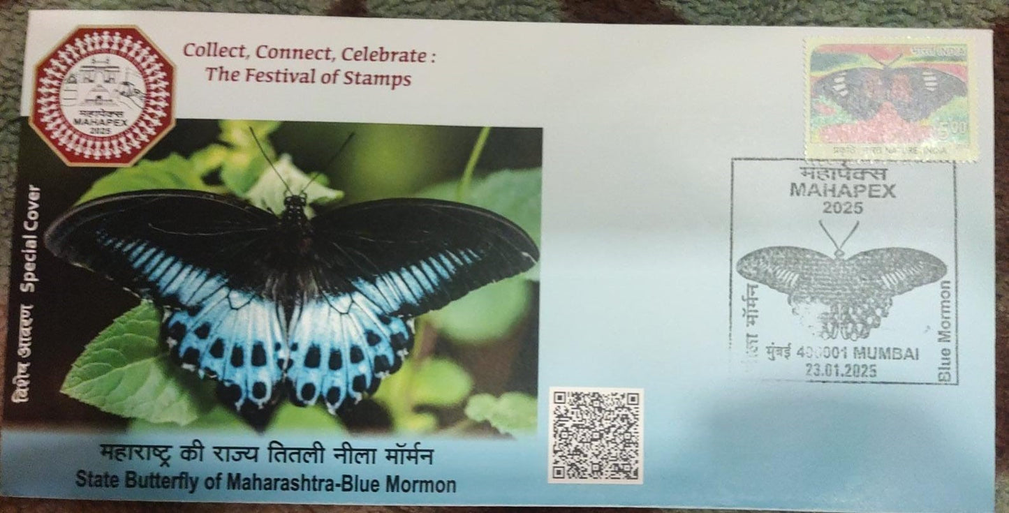 Beautiful special cover on Butterflies, 🦋 with AR (augmented reality) feature.