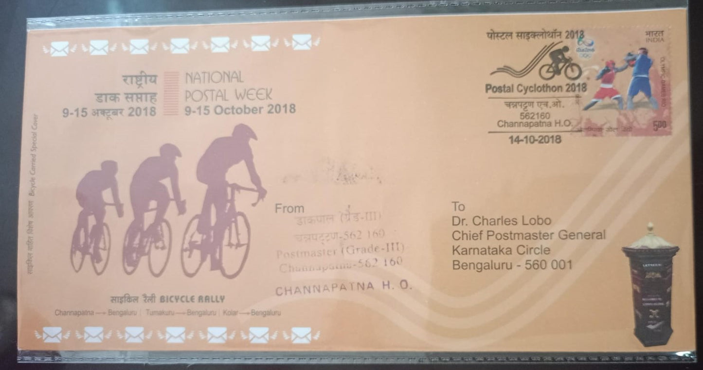 2018 Bicycle Carried cover