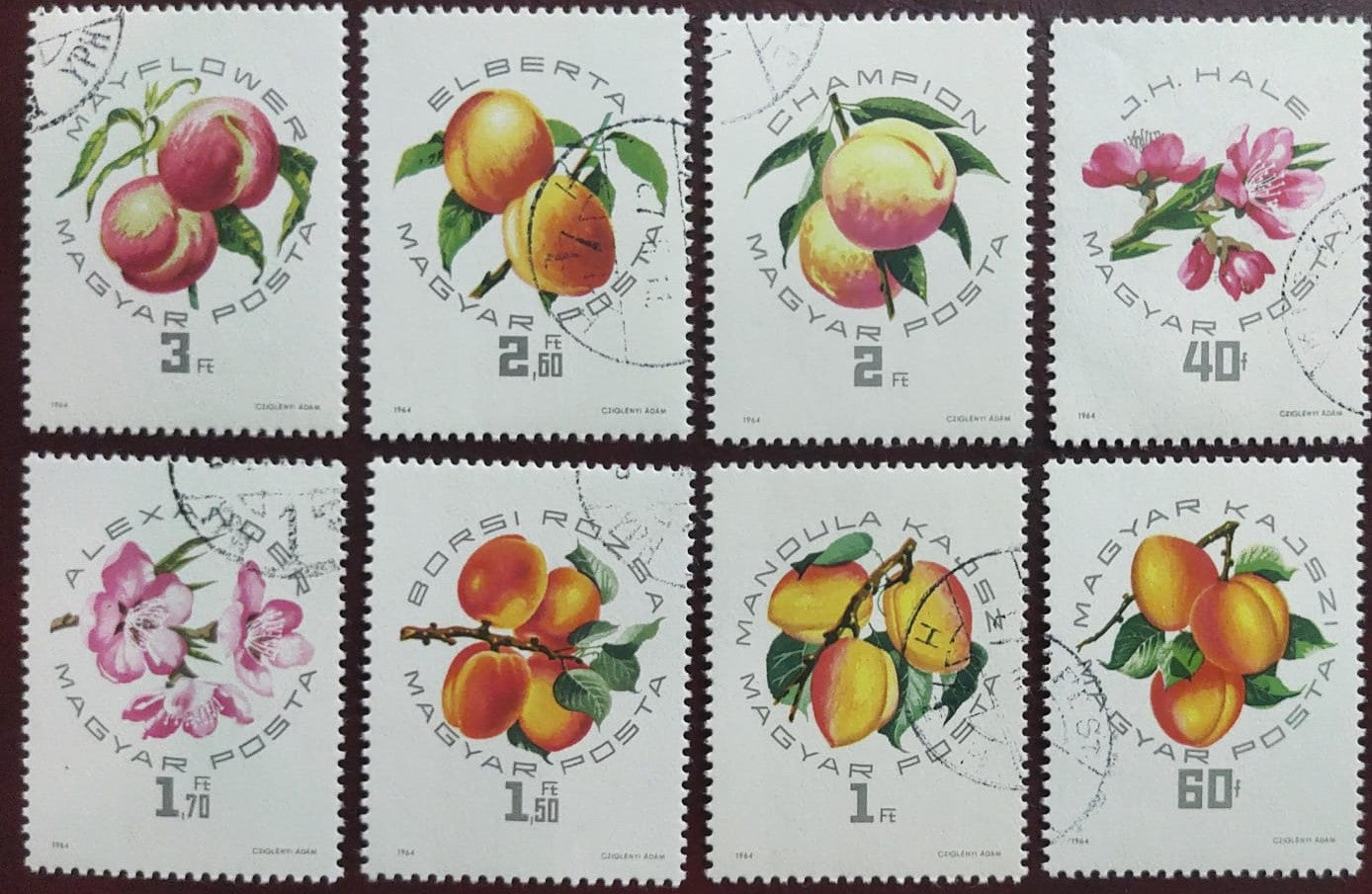 Hungary 8 beautiful stamps on fruits fruit πππππβπ©ππ