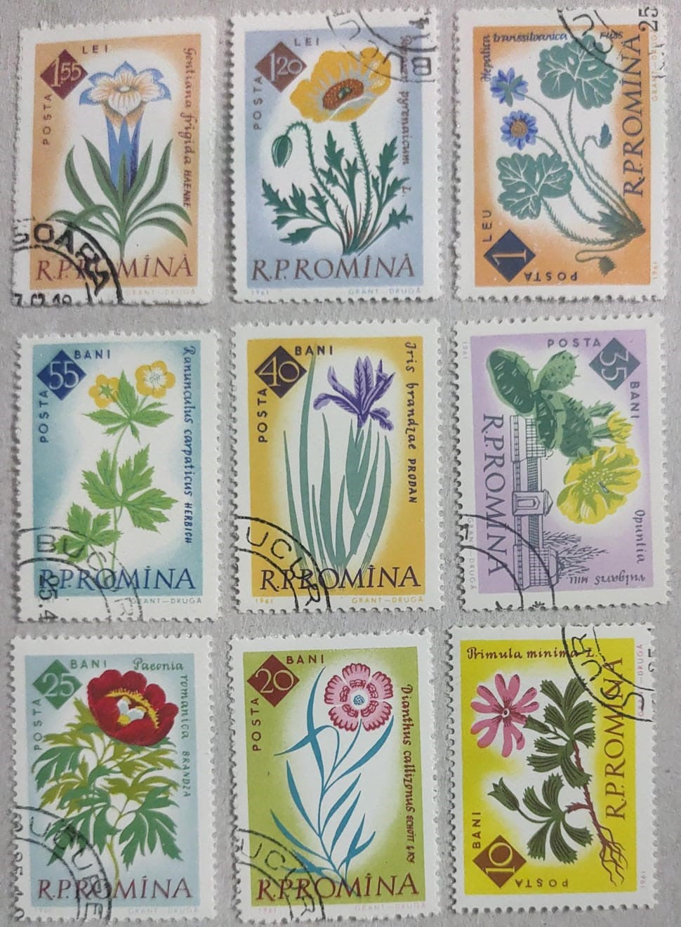 Romania 9 beautiful cancelled stamps on different flowers. 🌺🌸💐🪷🌸🌼🌻