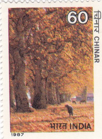 India mint-19 Oct'87 Indian Trees. - Chinar