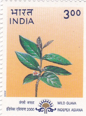 इंडिया मिंट-23 मार्च'00 "इनपेक्स-एशियाना 2000", 14वीं एशियाई अंतर्राष्ट्रीय स्टाम्प प्रदर्शनी, कलकत्ता