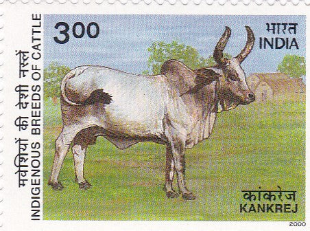 India mint-25 Apr.'00 Indigenous Breeds of Cattle