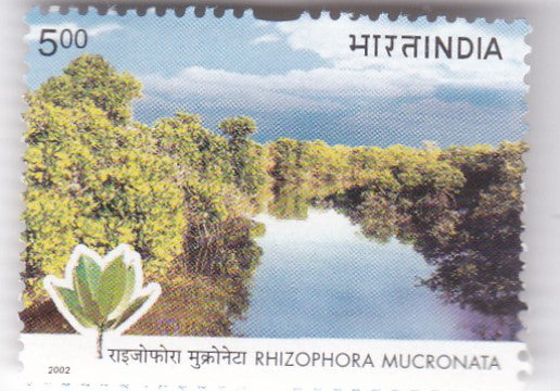 India mint- 30 Oct'2002 8th session of the conference of the Parties to the united Nations Framework convention or climate change New delhi