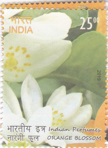 India Mint-Indian Perfumes