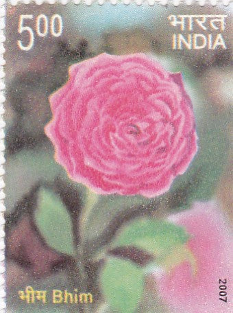 India mint- 07 Feb'07 Fragrance of Roses.