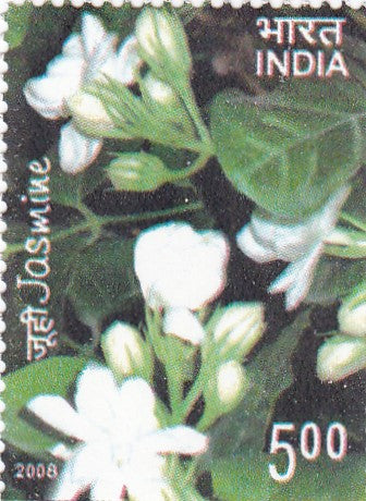 India mint-26 Apr'.08 Jasmine