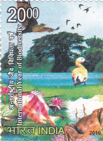 India mint-05 Jun'10 International year of Biodiversity.