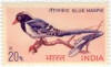 India-Mint 1968 Indian Birds-blue magpie