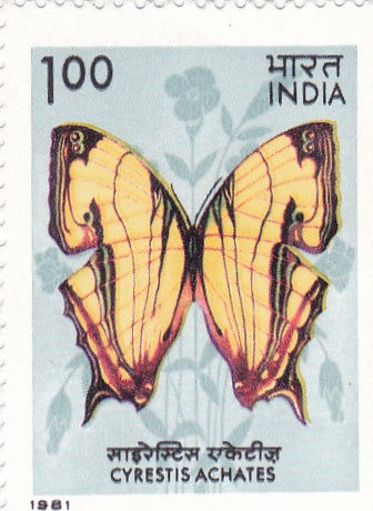 इंडिया मिंट-1981 भारतीय तितलियाँ-मानचित्र तितली