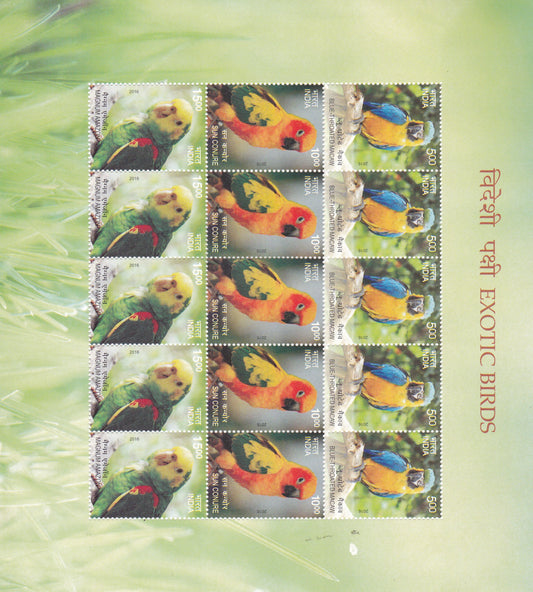 India-Exotic Birds Sheetlets